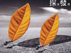 金融企業(yè)商標設計，深圳商標設計